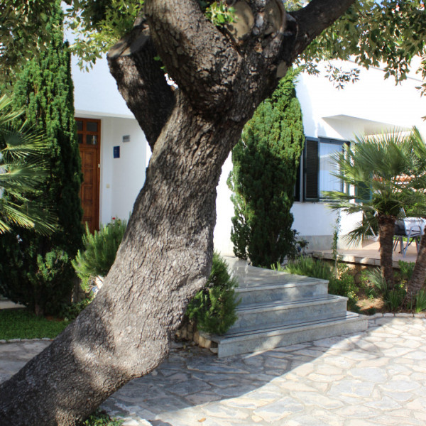 Apartmani Čuljak, Apartmani Čuljak Barbat na Rabu