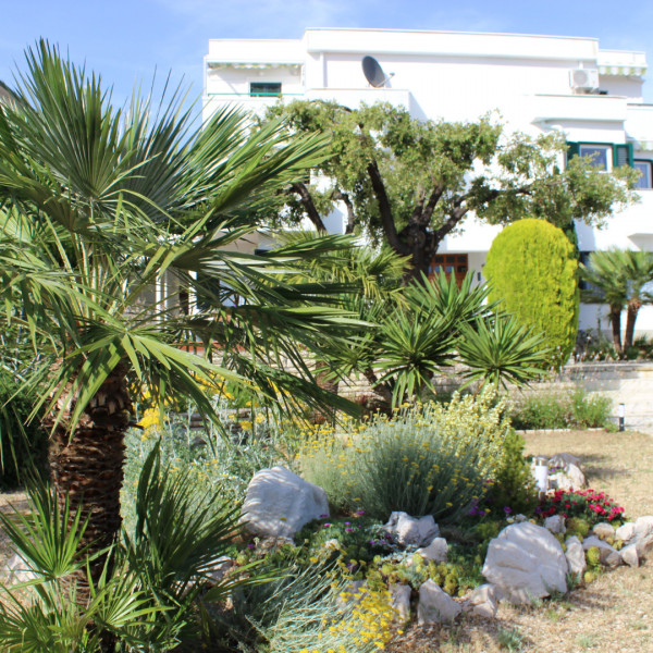 Apartmani Čuljak, Apartmani Čuljak Barbat na Rabu